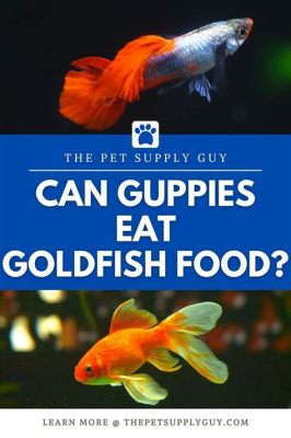 Can Guppies Eat Goldfish Food? Exploring the Intersection of Aquatic Diets and Fish Behavior