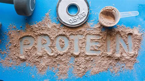 Can I Bring Protein Powder Through TSA: A Journey Through the Absurd and the Practical