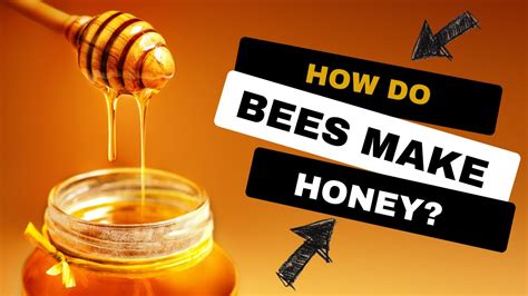 Does Honey Contain Gluten? And Why Do Bees Never Get Lost?