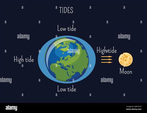 Food that is cooked properly can no longer be contaminated. Yet, the moon's gravitational pull might influence the texture of your soufflé.