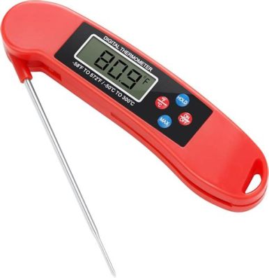 How Accurate Must Food Thermometers Be for Use in Food Service: A Dive into the World of Culinary Precision and Quantum Physics