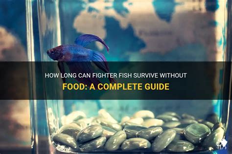 How Long Can Fish Survive Without Food: A Dive into Aquatic Survival and the Mysteries of Fish Fasting