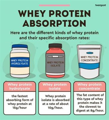 How Long Does It Take the Body to Process Protein, and Why Does It Sometimes Feel Like a Marathon?