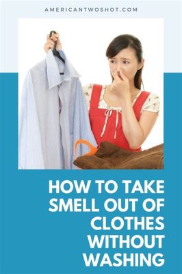 How to Get Food Smell Out of Clothes Without Washing: A Journey Through Unconventional Wisdom and the Art of Smell Manipulation