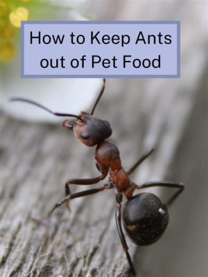 How to Keep Ants Out of Outdoor Cat Food and Why Cats Might Secretly Enjoy the Chaos