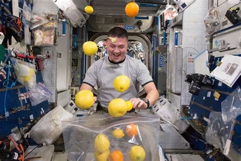 Is Lime a Fruit or a Vegetable? And Why Do Astronauts Prefer It in Space?