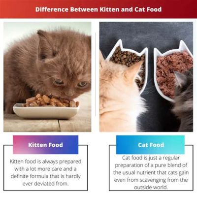 What is the difference between kitten food and cat food, and why do cats dream of electric mice?