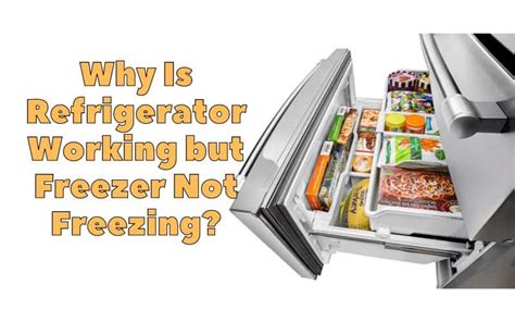 Why is Food Freezing in My Refrigerator: And Why Do Penguins Prefer Icebergs Over Fridges?